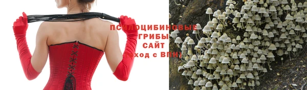 ALPHA-PVP Беломорск