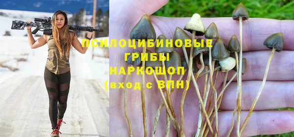марки lsd Гусиноозёрск
