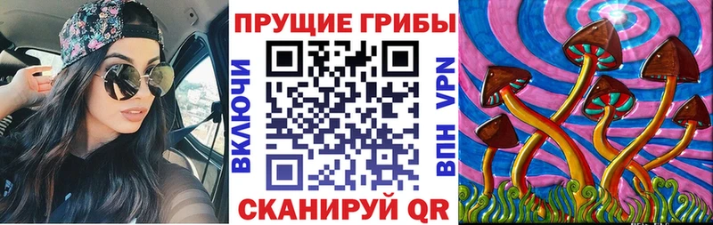 Псилоцибиновые грибы GOLDEN TEACHER Гороховец